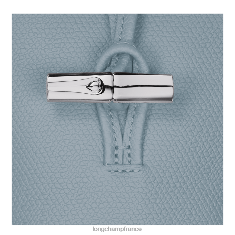 nuage bleu femmes coque de téléphone roseau avec dentelle maroquinerie Longchamp Z6ZTP687