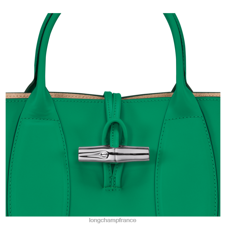 herbe/feu vert femmes sac à main roseau Sacs Longchamp Z6ZTP98