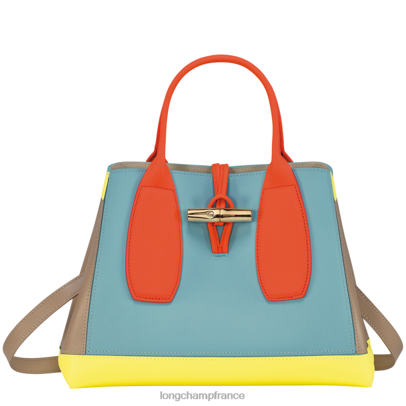 multicolore femmes sac à main roseau Sacs Longchamp Z6ZTP96