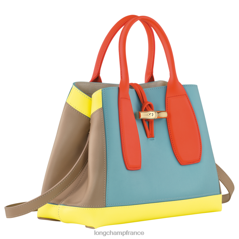 multicolore femmes sac à main roseau Sacs Longchamp Z6ZTP96