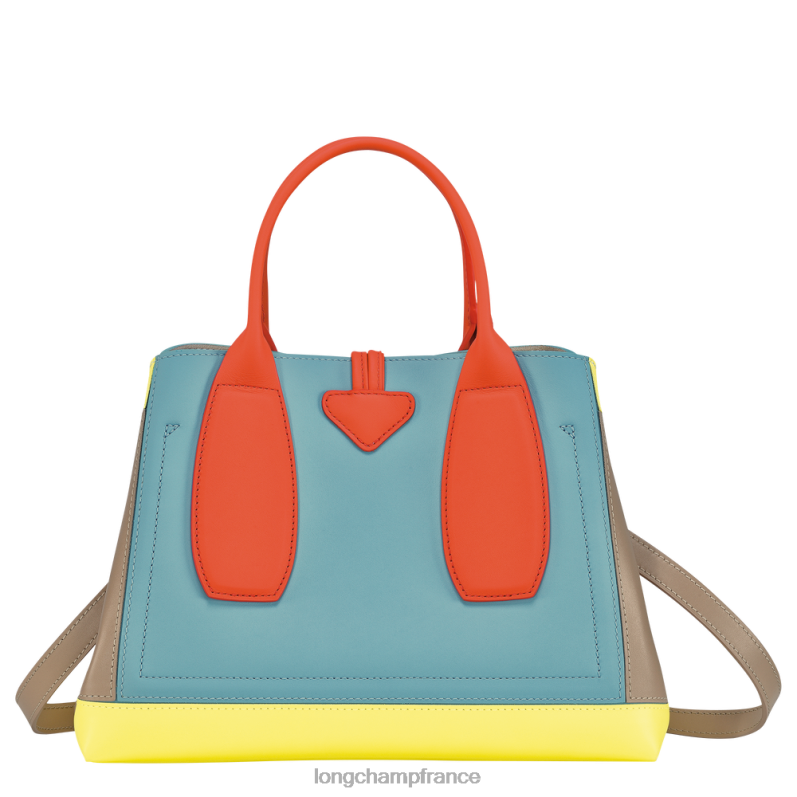 multicolore femmes sac à main roseau Sacs Longchamp Z6ZTP96