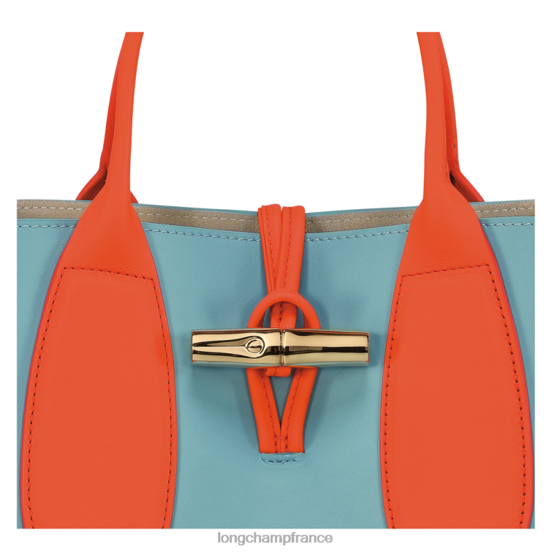 multicolore femmes sac à main roseau Sacs Longchamp Z6ZTP96