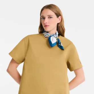Rubans Longchamp Foulard en soie 50 Rubans Longchamp Foulard en soie 50